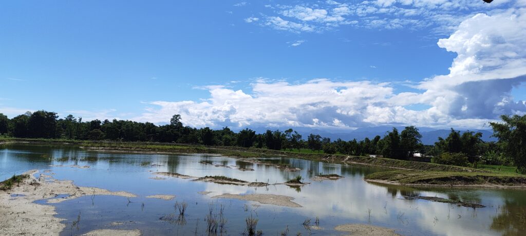 Wetland in Ukhamti, Gogamukh, Assam